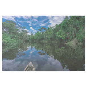 Forests Peruvian Jungle Forest Gallery Wrap
