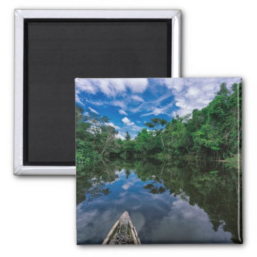 Forests  Peruvian Jungle Forest Magnet