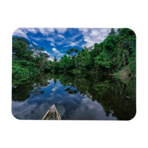 Forests Peruvian Jungle Forest Magnet