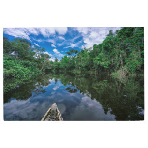 Forests Peruvian Jungle Forest Metal Print