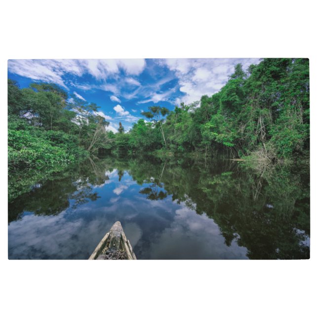 Forests | Peruvian Jungle Forest Metal Print (Front)
