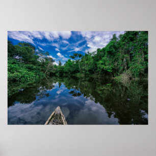 Forests Peruvian Jungle Forest Poster