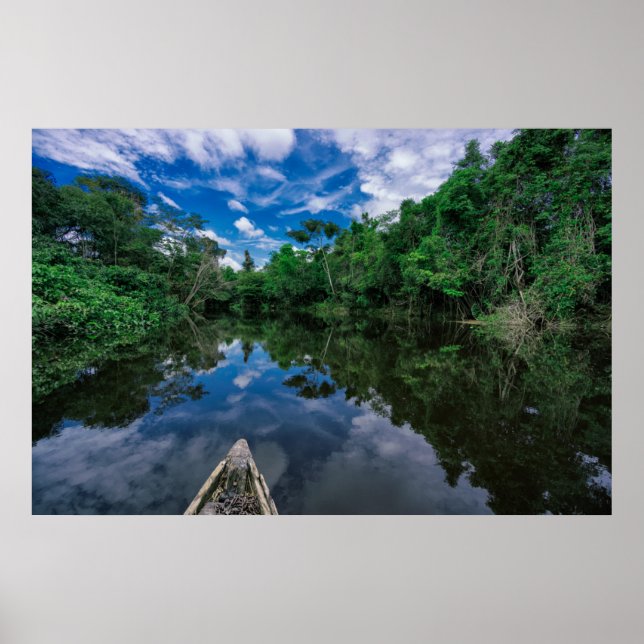 Forests | Peruvian Jungle Forest Poster (Front)