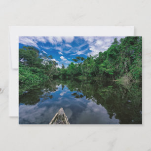Forests Peruvian Jungle Forest Thank You Card