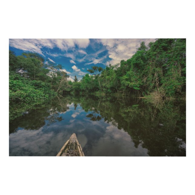 Forests | Peruvian Jungle Forest Wood Wall Art (Front)