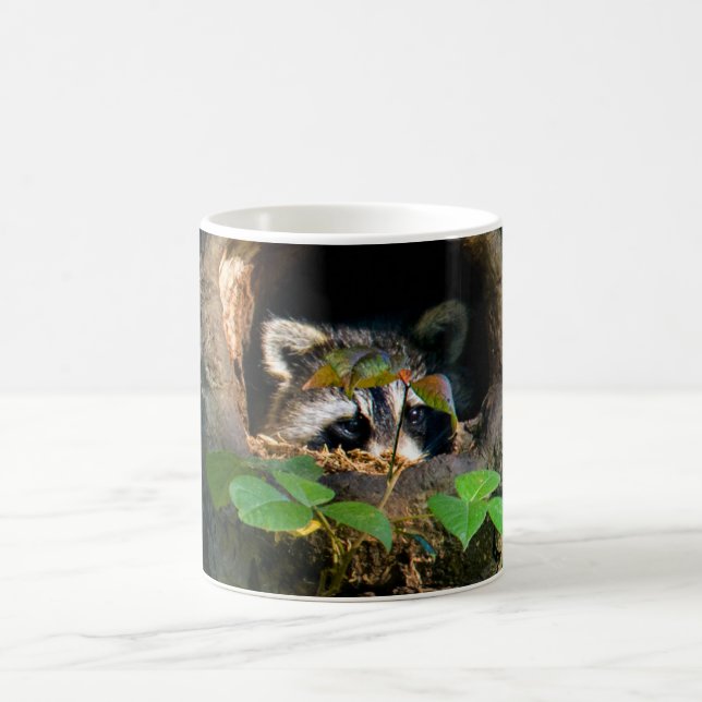 Forests | Raccoon Peeking Coffee Mug (Center)