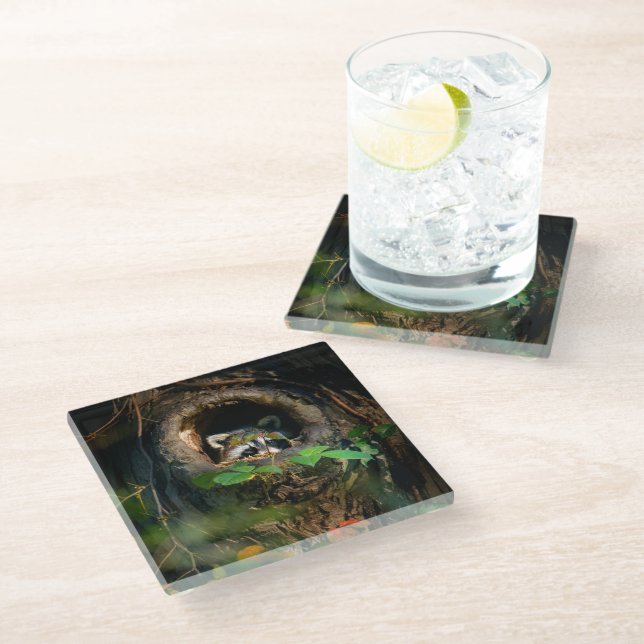 Forests | Raccoon Peeking Glass Coaster (Angled)