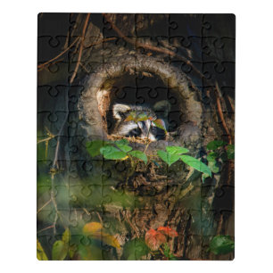 Forests   Raccoon Peeking Jigsaw Puzzle