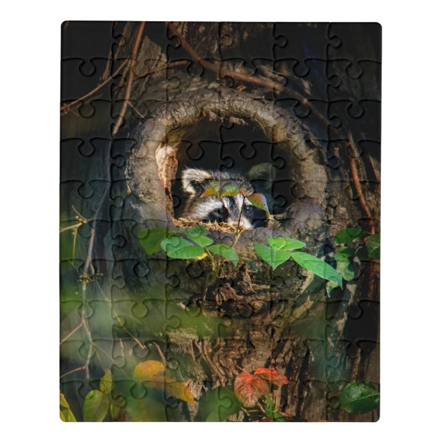 Forests | Raccoon Peeking Jigsaw Puzzle (Puzzle Vertical)