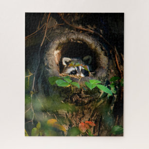 Forests   Raccoon Peeking Jigsaw Puzzle