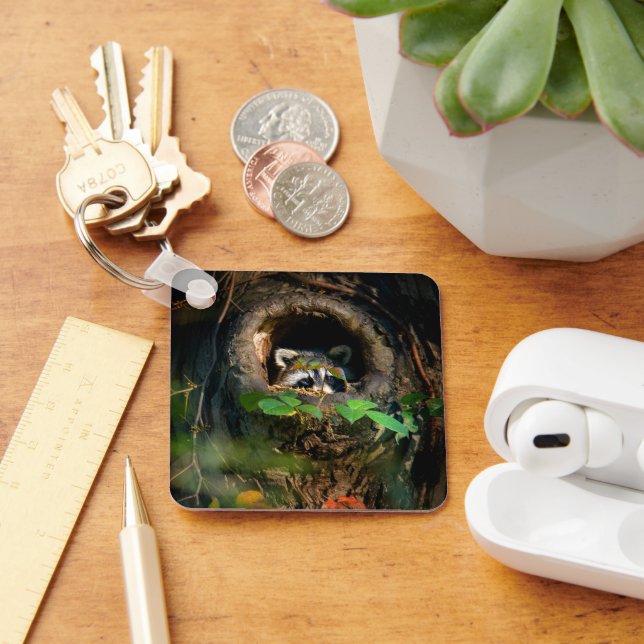 Forests | Raccoon Peeking Keychain (Desk)
