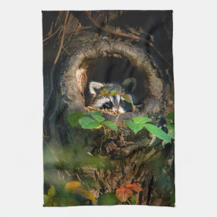 Forests   Raccoon Peeking Kitchen Towel