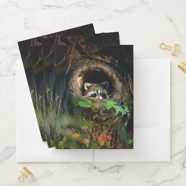 Forests | Raccoon Peeking Pocket Folder (In Situ)