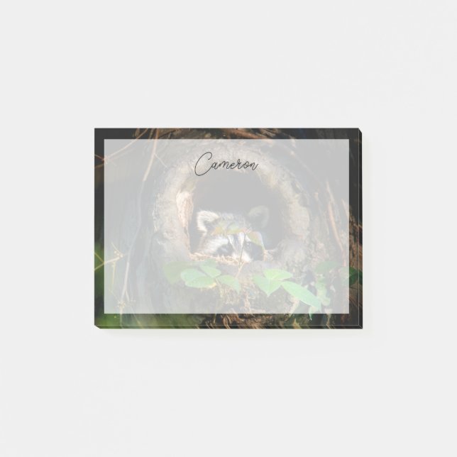 Forests | Raccoon Peeking Post-it Notes (Front)