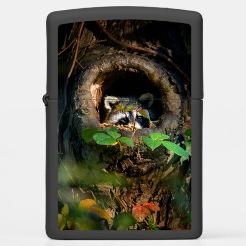 Forests  Raccoon Peeking Zippo Lighter