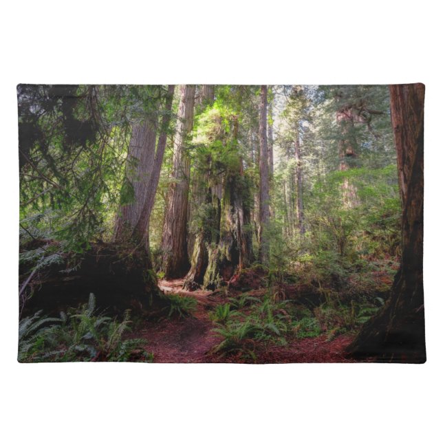 Forests | Redwood Forest California Cloth Placemat (Front)