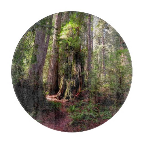 Forests  Redwood Forest California Cutting Board