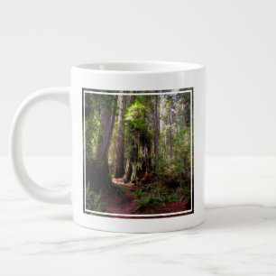 Forests   Redwood Forest California Giant Coffee Mug