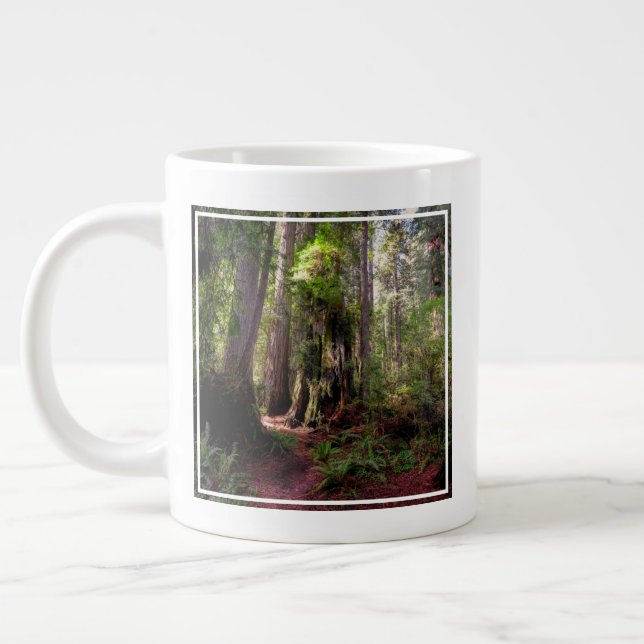 Forests | Redwood Forest California Giant Coffee Mug (Left)