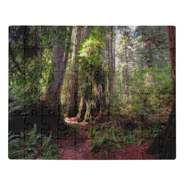 Forests | Redwood Forest California Jigsaw Puzzle (Puzzle Horizontal)