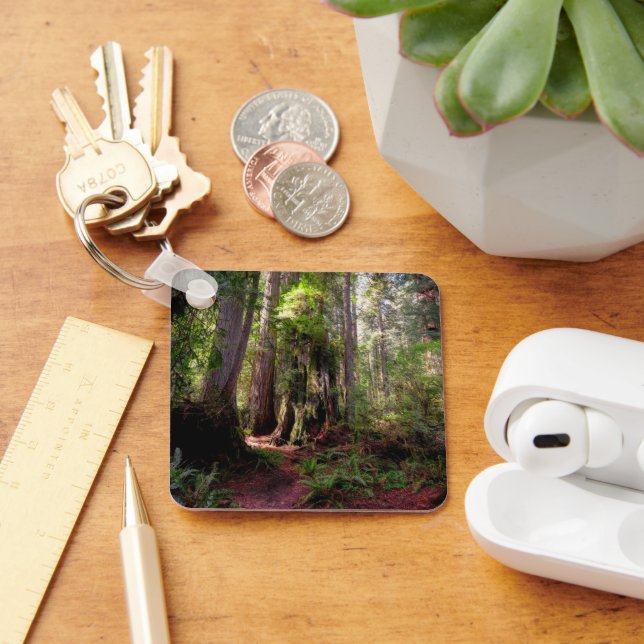 Forests | Redwood Forest California Keychain (Desk)