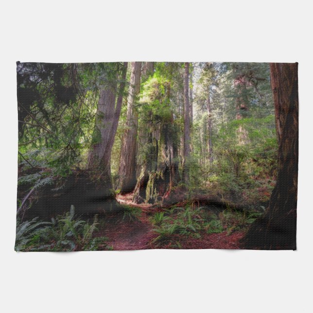 Forests | Redwood Forest California Kitchen Towel (Horizontal)