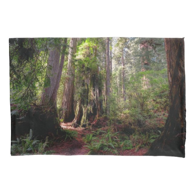 Forests | Redwood Forest California Pillow Case (Front)
