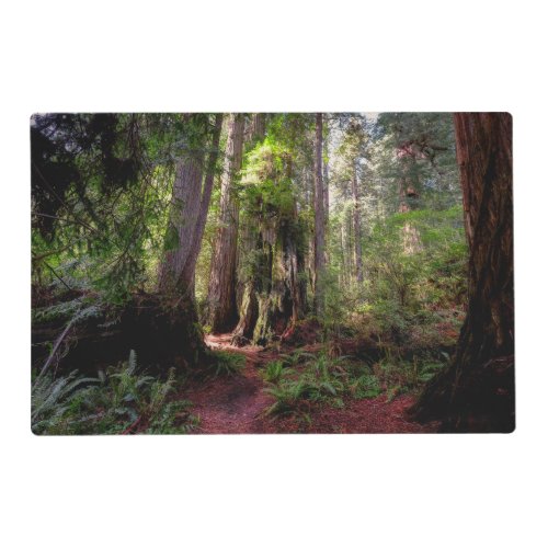 Forests  Redwood Forest California Placemat