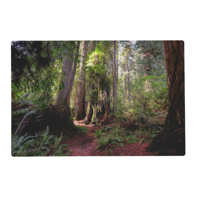 Forests | Redwood Forest California Placemat (Front)