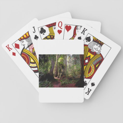 Forests  Redwood Forest California Playing Cards