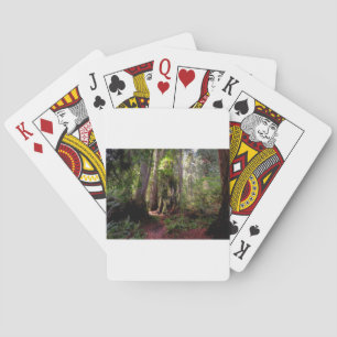 Forests Redwood Forest California Poker Cards