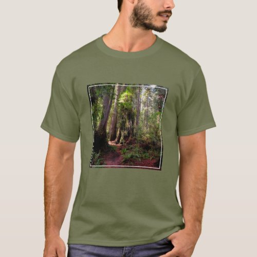 Forests  Redwood Forest California T_Shirt