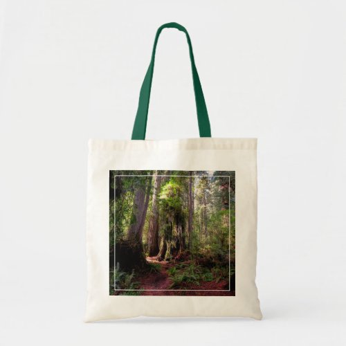 Forests  Redwood Forest California Tote Bag