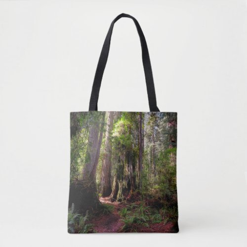 Forests  Redwood Forest California Tote Bag
