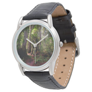 Forests Redwood Forest California Watch