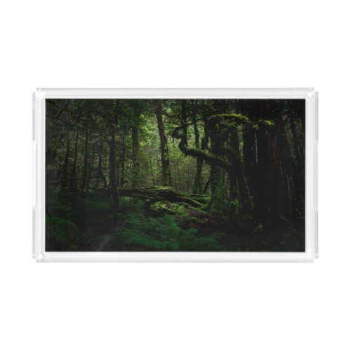 Forests  Routeburn Track Fiordland National Park Acrylic Tray