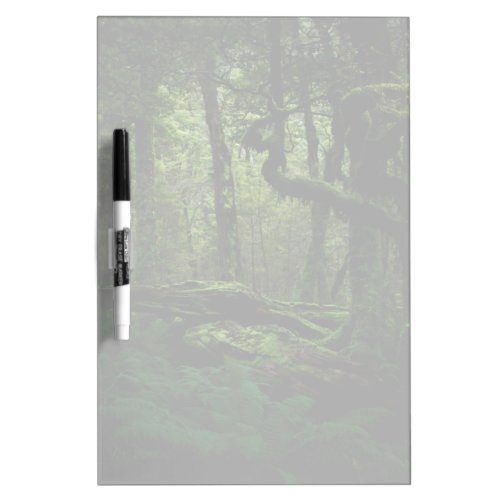 Forests  Routeburn Track Fiordland National Park Dry Erase Board