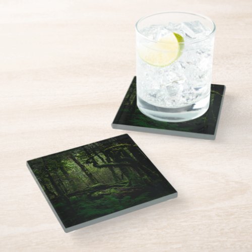 Forests  Routeburn Track Fiordland National Park Glass Coaster