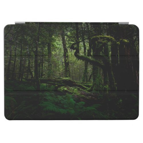 Forests  Routeburn Track Fiordland National Park iPad Air Cover