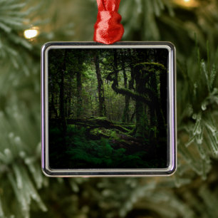 Forests   Routeburn Track Fiordland National Park Metal Ornament