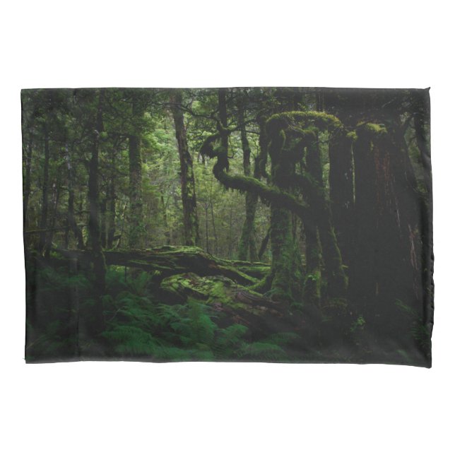 Forests | Routeburn Track Fiordland National Park Pillow Case (Front)