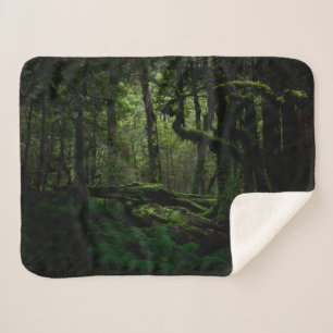 Forests   Routeburn Track Fiordland National Park Sherpa Blanket