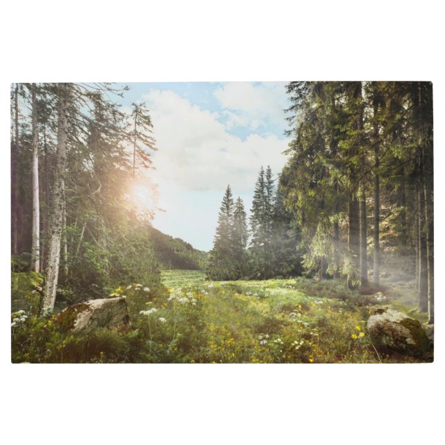 Forests | Sun Peeking Thru Metal Print (Front)
