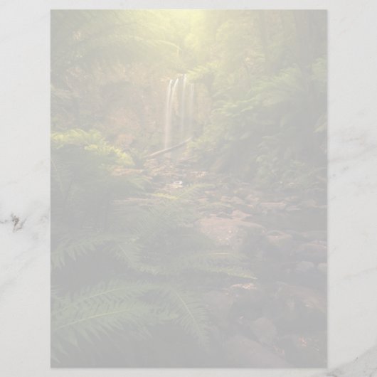 Forests | Sunlight Highlights Waterfall (Front)