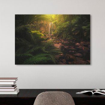 Forests | Sunlight Highlights Waterfall Canvas Print by intothewild at Zazzle