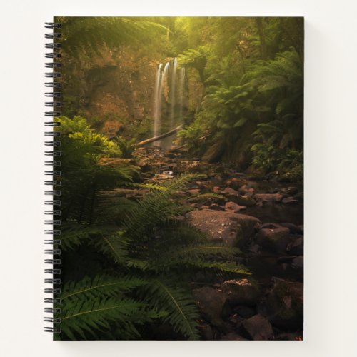 Forests  Sunlight Highlights Waterfall Notebook