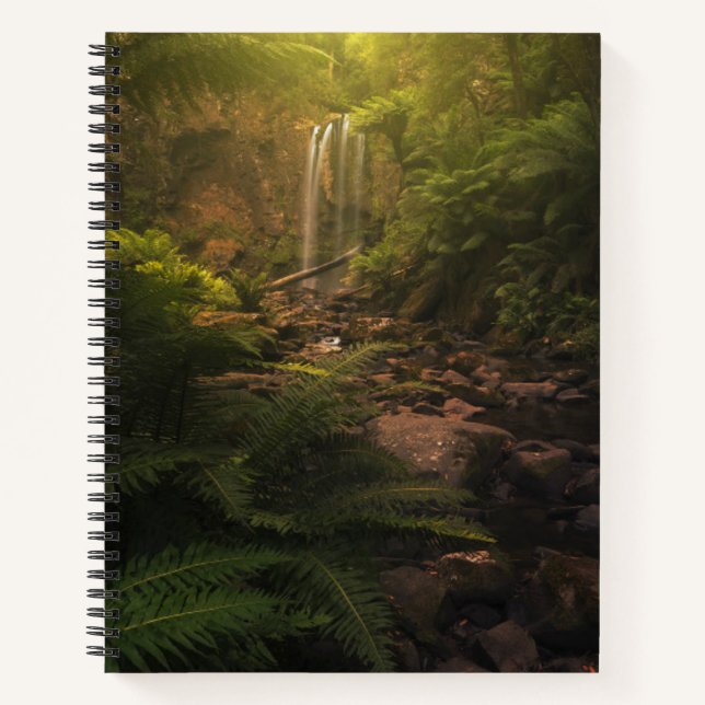 Forests | Sunlight Highlights Waterfall Notebook (Front)