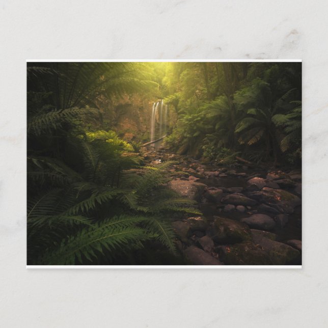 Forests | Sunlight Highlights Waterfall Postcard (Front)