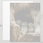 Forests | Three Owls Looking (Front/Back)