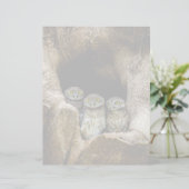 Forests | Three Owls Looking (Standing Front)